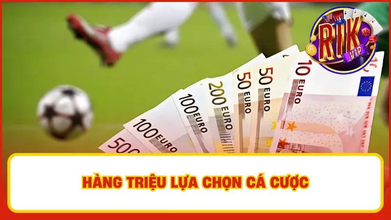New Ug Sports – Sảnh Cá Cược Thể Thao Thương Hiệu Rikvip 3 Mỗi loại hình cá độ đều có những quy tắc và chiến thuật riêng